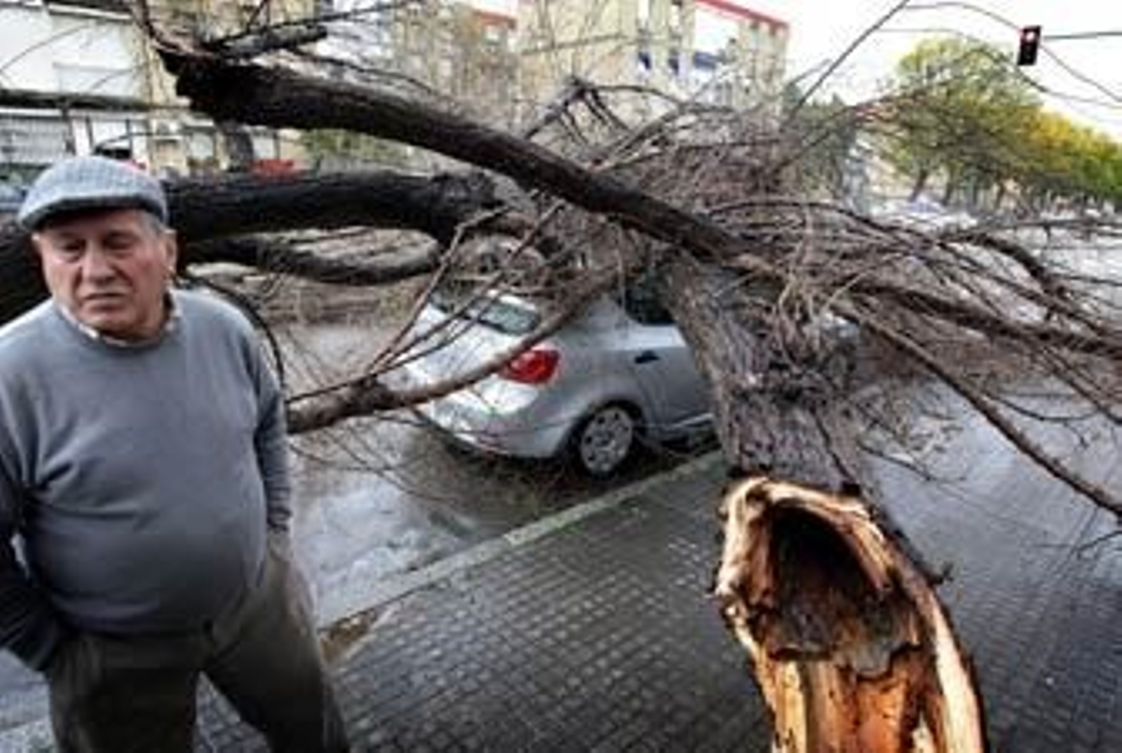 Un vendaval pone Jerez boca abajo