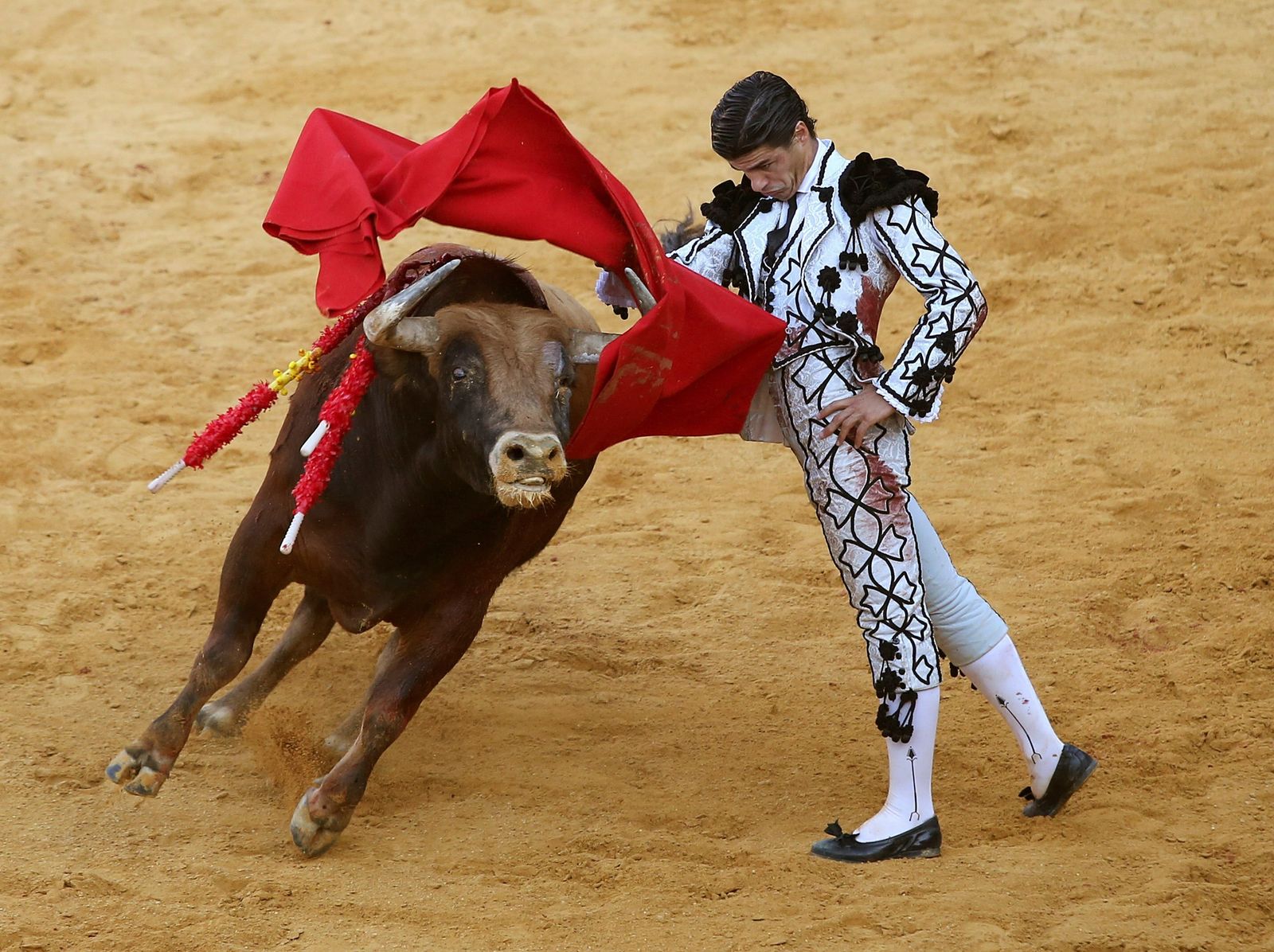 Pablo Aguado, con el sobrero al que cortó las dos orejas, este sábado, en la Plaza de Toros de la Maestranza de Ronda