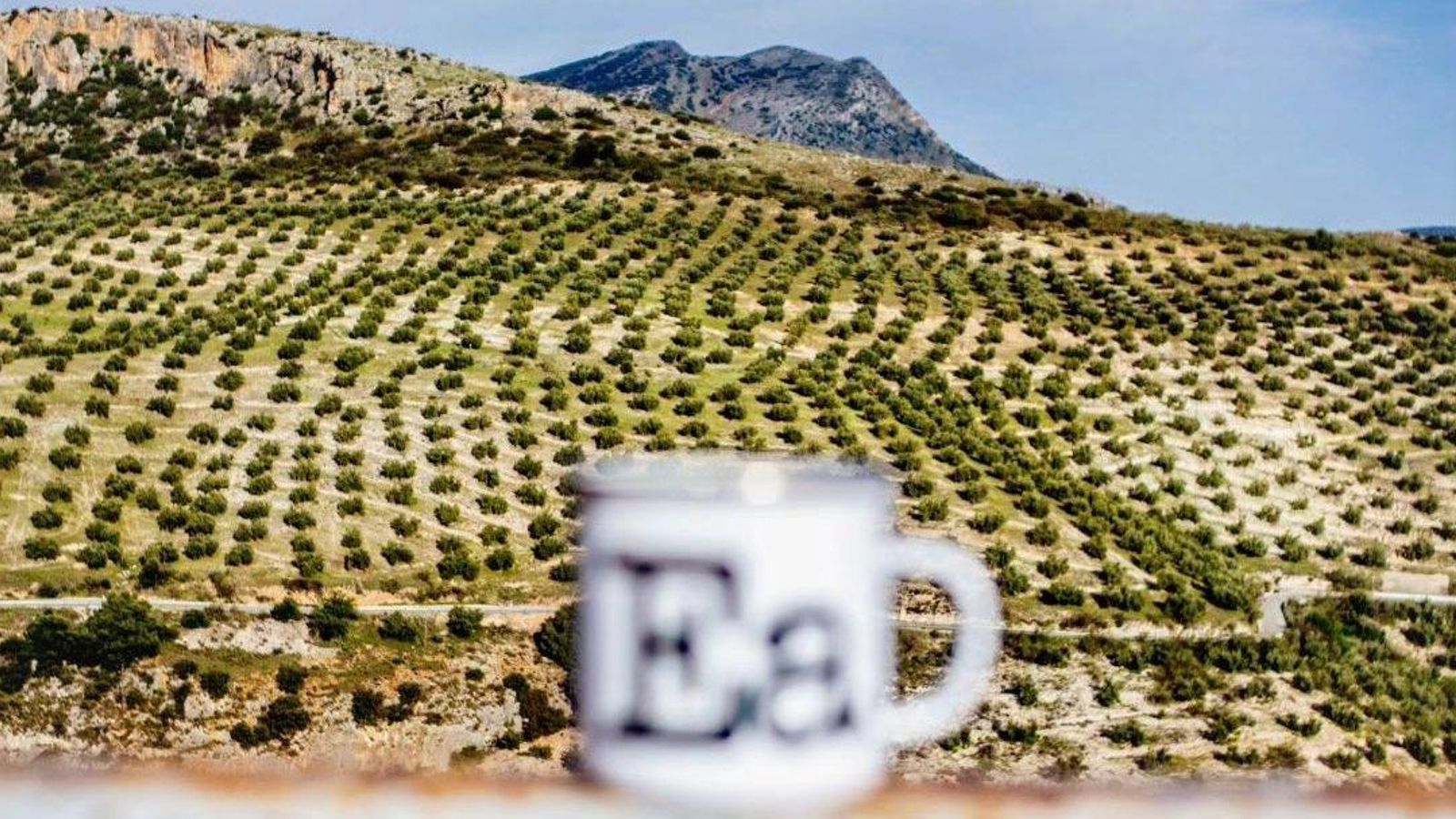 Taza tematizada con una de las expresiones típicas jiennenses ante el mar de olivos.