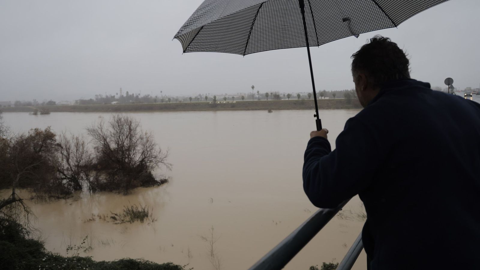 Un vecino observa el Guadalquivir en Lora del Río.