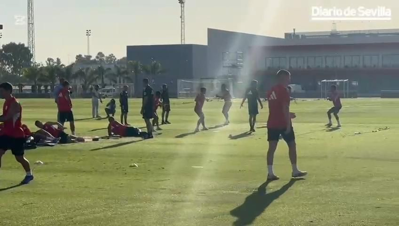 Cuatro bajas para Matías Almeyda en el único entrenamiento del día para el Sevilla FC