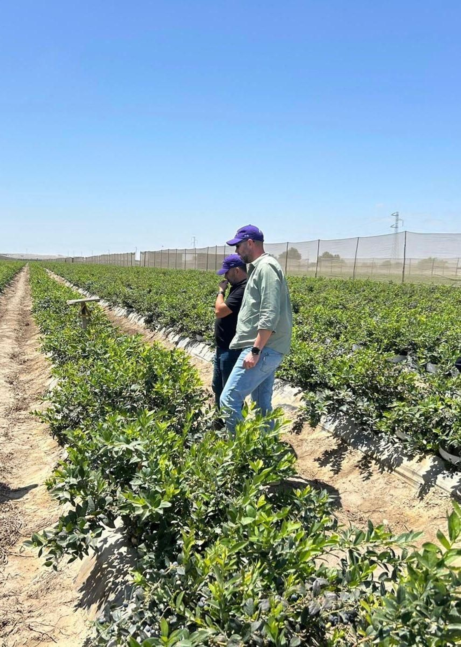 Una de las fincas productoras de Senda.