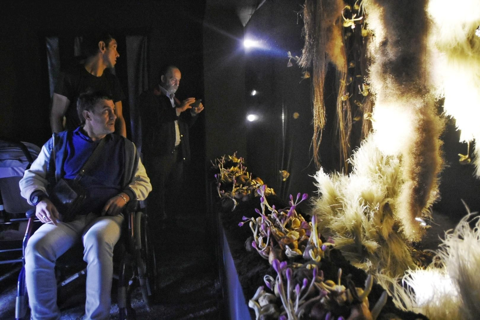 Varias personas visitan la instalación del Patio del Reloj de la Diputación.