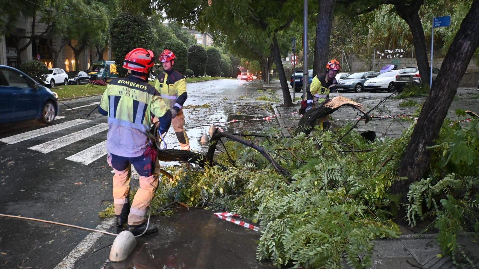 Bomberos en Huelva en uan actuación este jueves por la caída de un árbol en la calle San Sebastián.