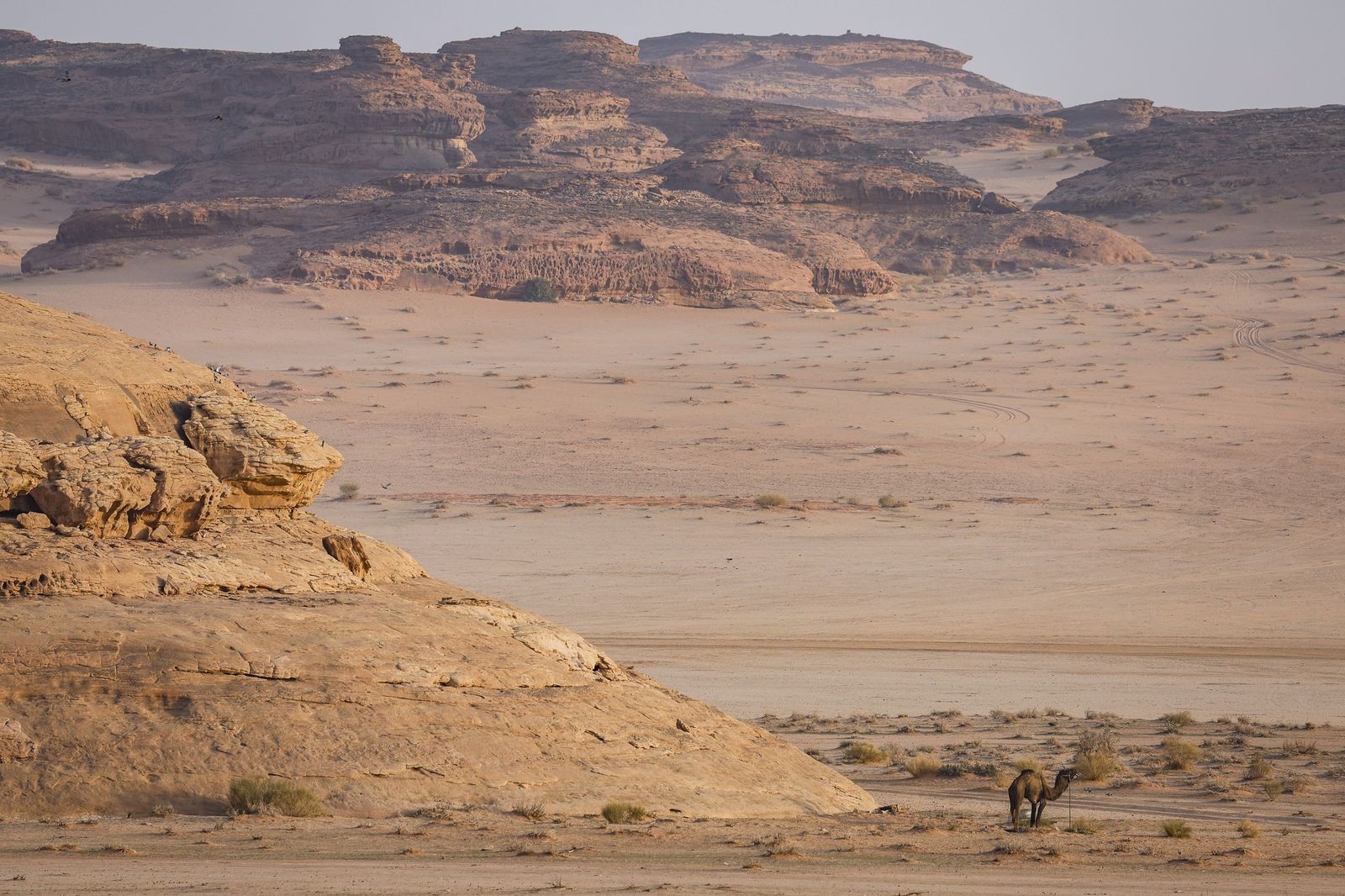 Las mejores fotos del Rally Dakar | Cuarta etapa