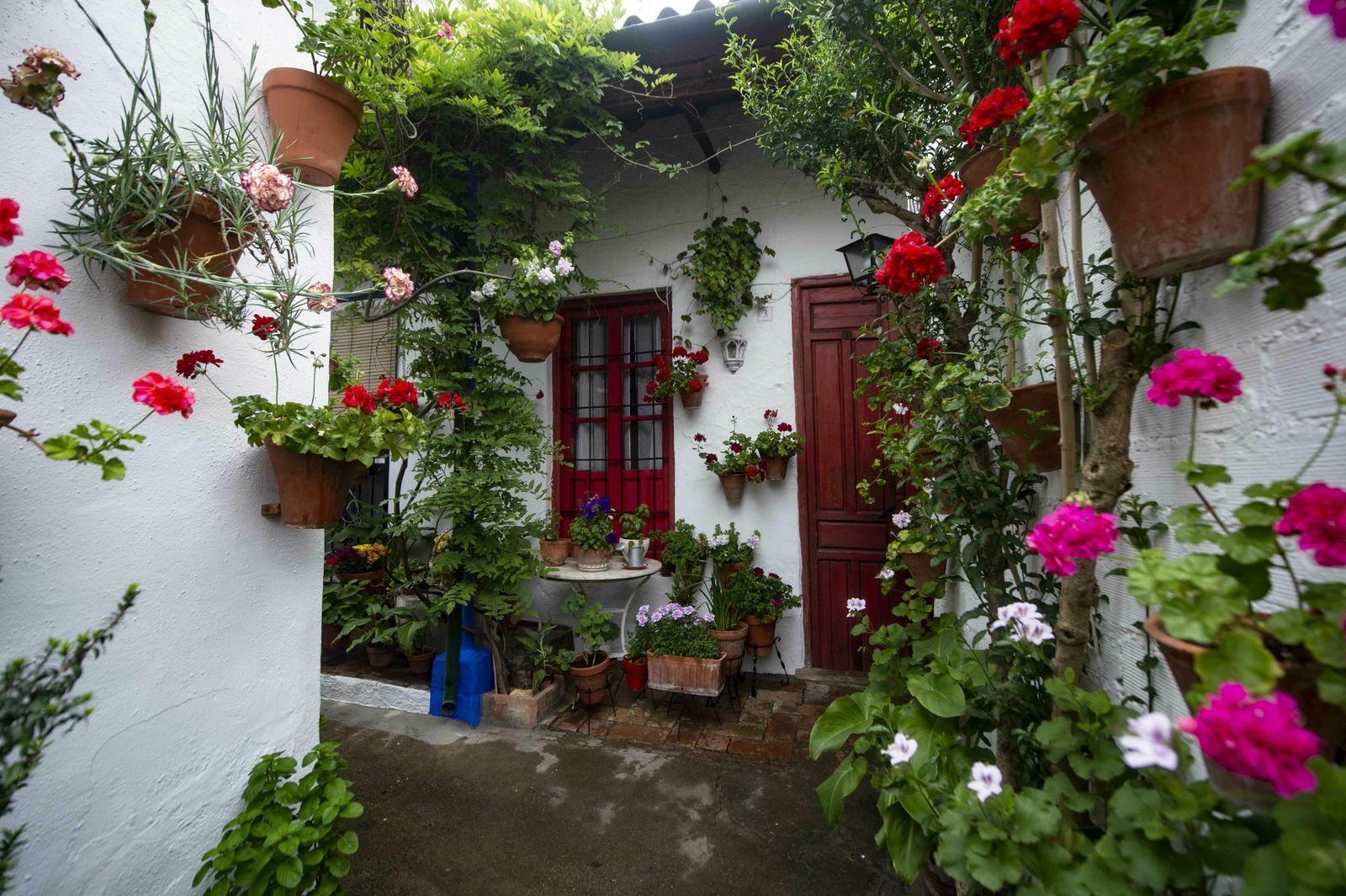 En imágenes: la ruta de los Patios Santa Marina-San Agustín