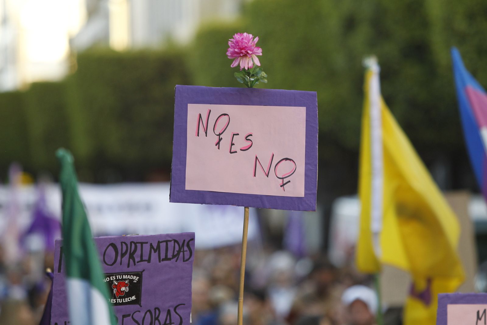 Fotogalería manifestación Día Internacional de la Mujer