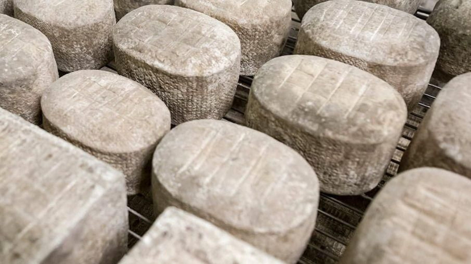 Desde su apertura en 2016, Quesos y Besos no ha parado de recibir premios.