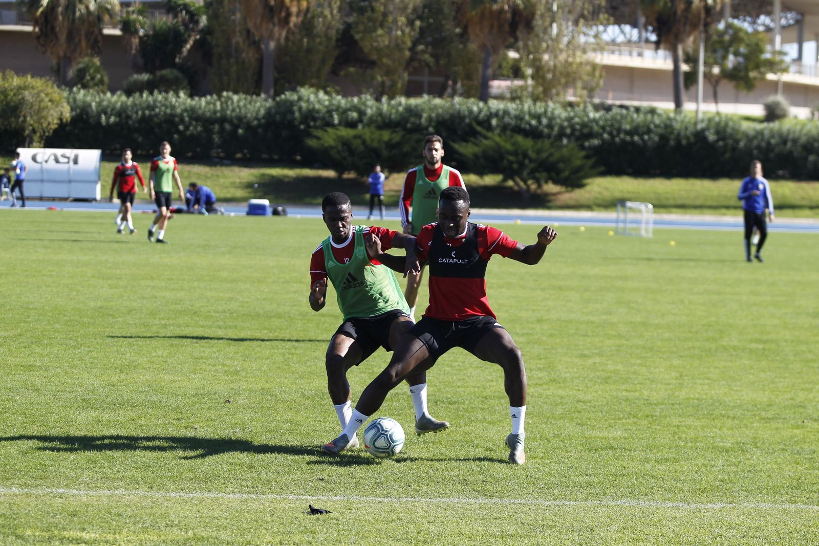 Fotogalería del entrenamiento del Almería 7-XI