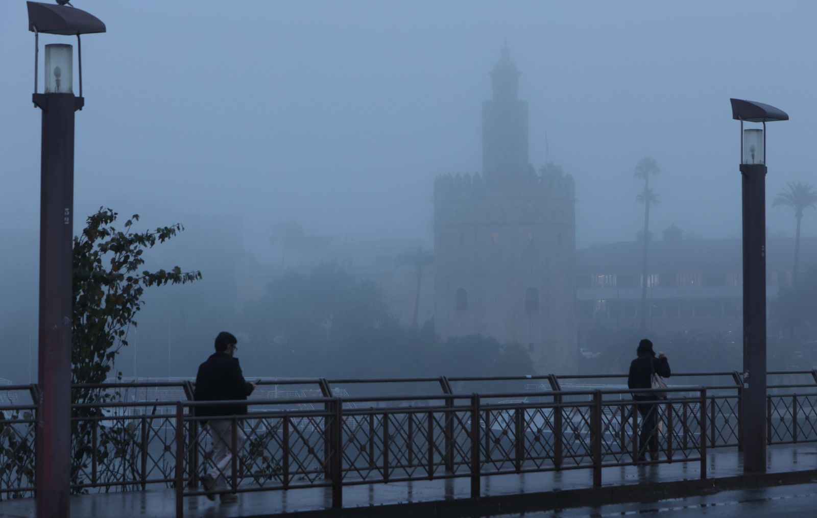 Las imágenes de la niebla en Sevilla