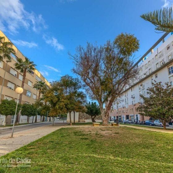 Este martes se inaugura el Jardín de la Historia en el barrio de Segunda Aguada