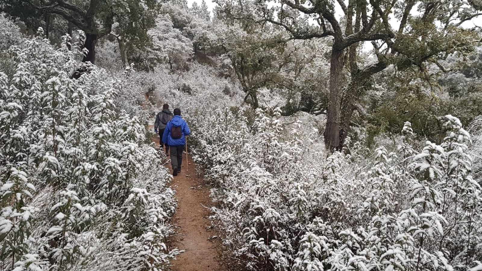 Senderistas durante la nevada del 10 de enero de 2021.