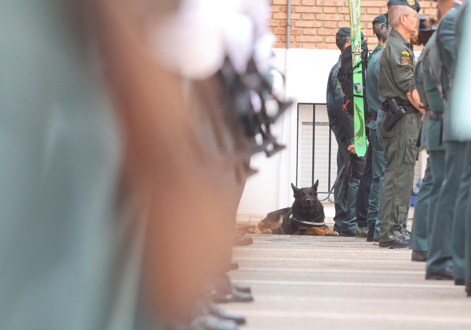 La Guardia Civil de Málaga homenajea a los agentes retirados en su 179 aniversario