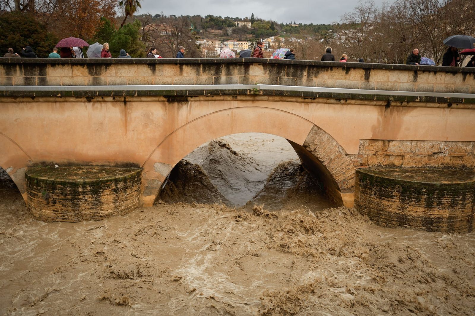 El Genil, en la mañana de este jueves a su paso por la capital.