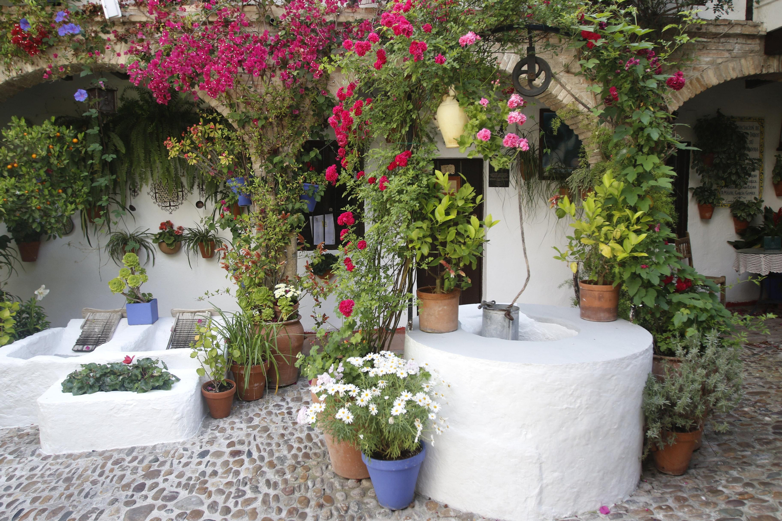 Los Patios de Córdoba en tiempos de crisis: San Basilio, 44