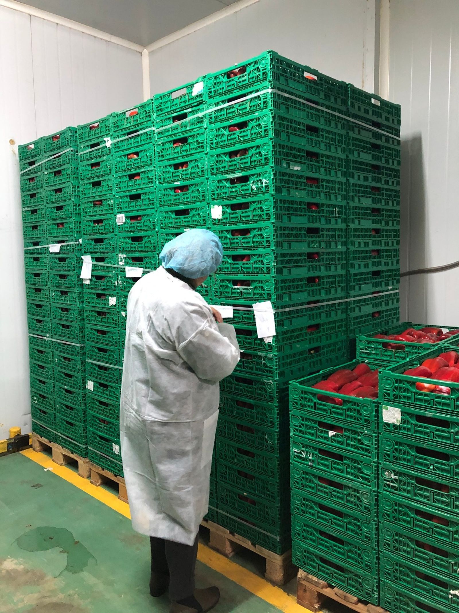 Inspección de productos.