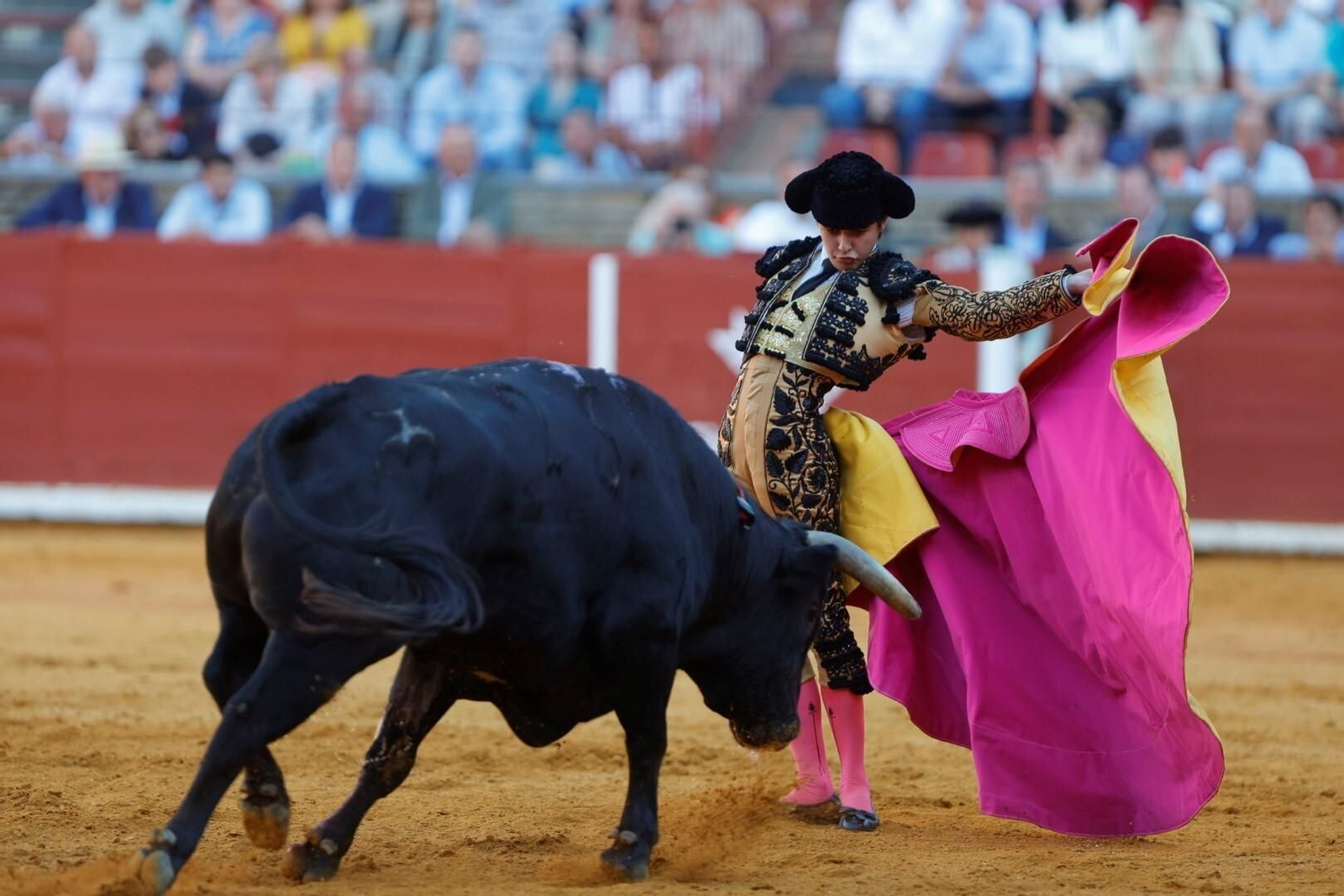 Las imágenes de la corrida de Ventura, Morante y Román en la Feria Taurina de Córdoba