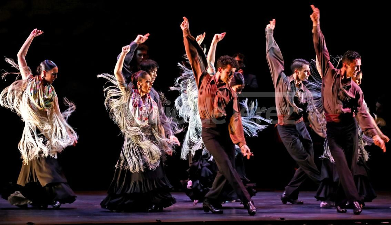 Imágenes del espectáculo 'Naturalmente Flamenco'  del Ballet Flamenco de Andalucía