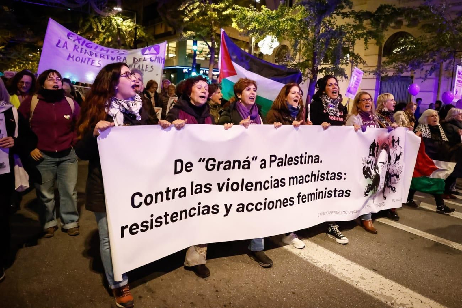 Miles de personas celebran el 25N y muestran en Granada su rechazo a la violencia contra la mujer