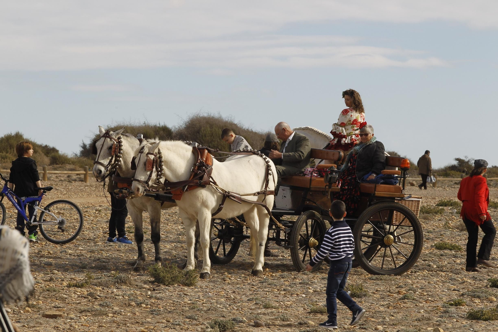 Las imágenes de la Romería de Torregarcía