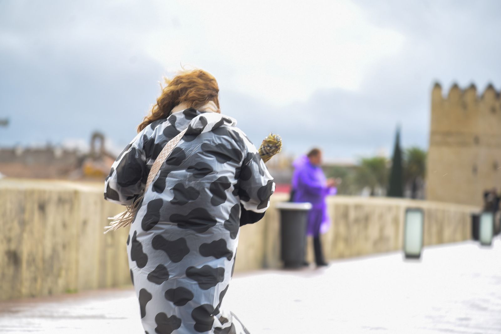 Las fuertes rachas de viento y la lluvia dejan las calles de Córdoba vacías