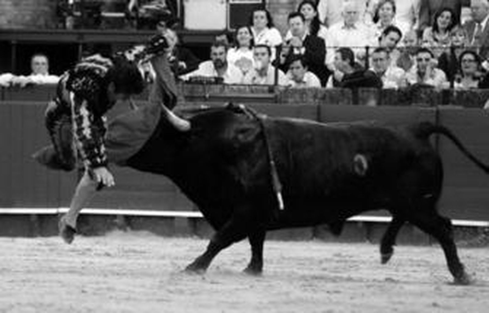 El Fundi, tras un gran estoconazo al cuarto toro, fue cogido de fea manera sufriendo un varetazo en la pierna izquierda.