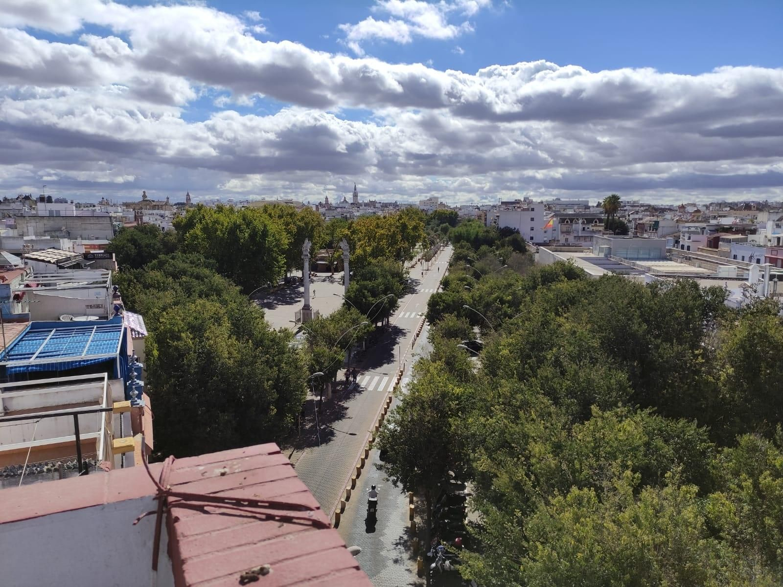 Una vista de la Alameda de Hércules en día nublado con indicios de lluvias.