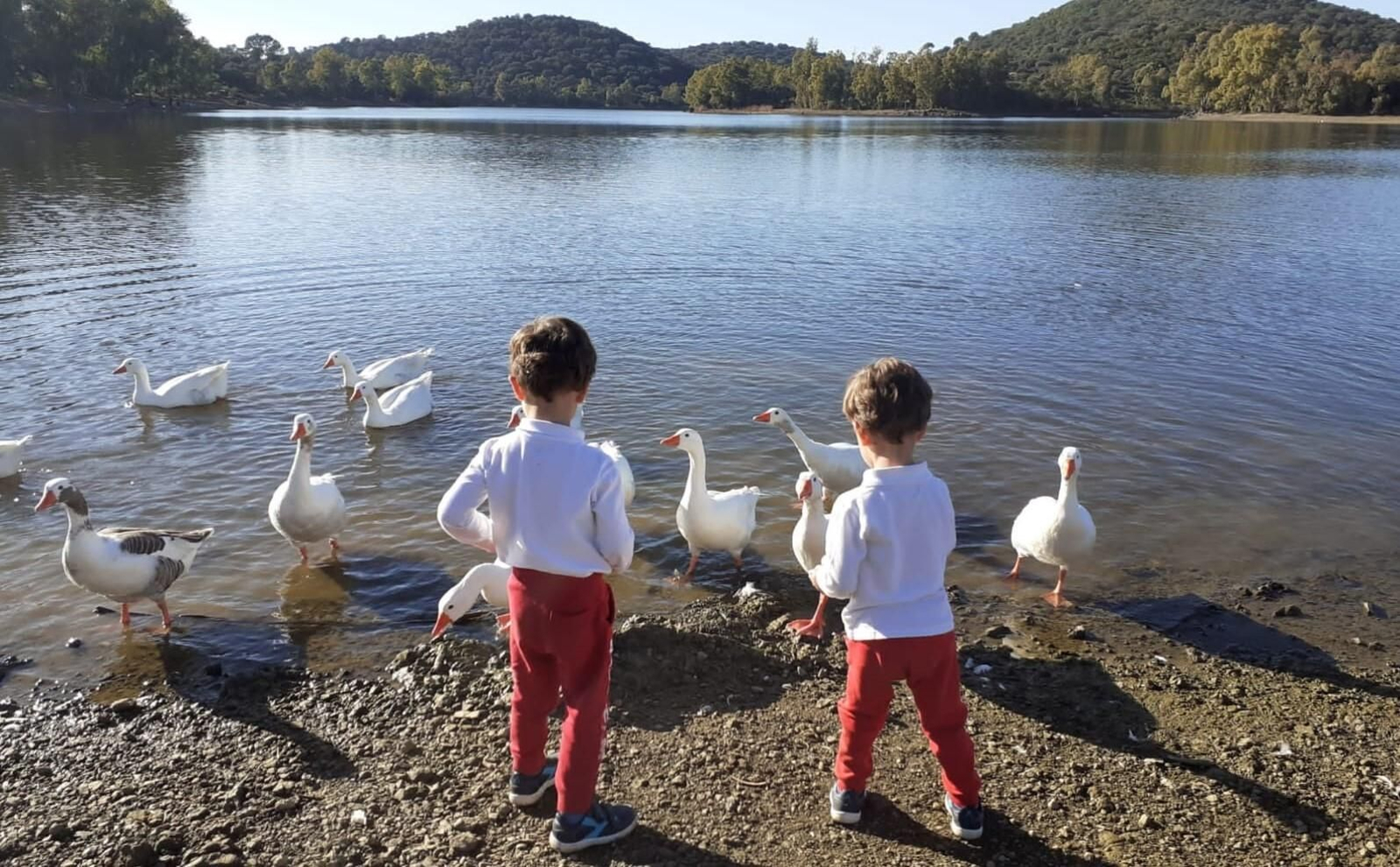 Los mellizos Gonzalo y Manolo, que ya han cumplido cuatro años.