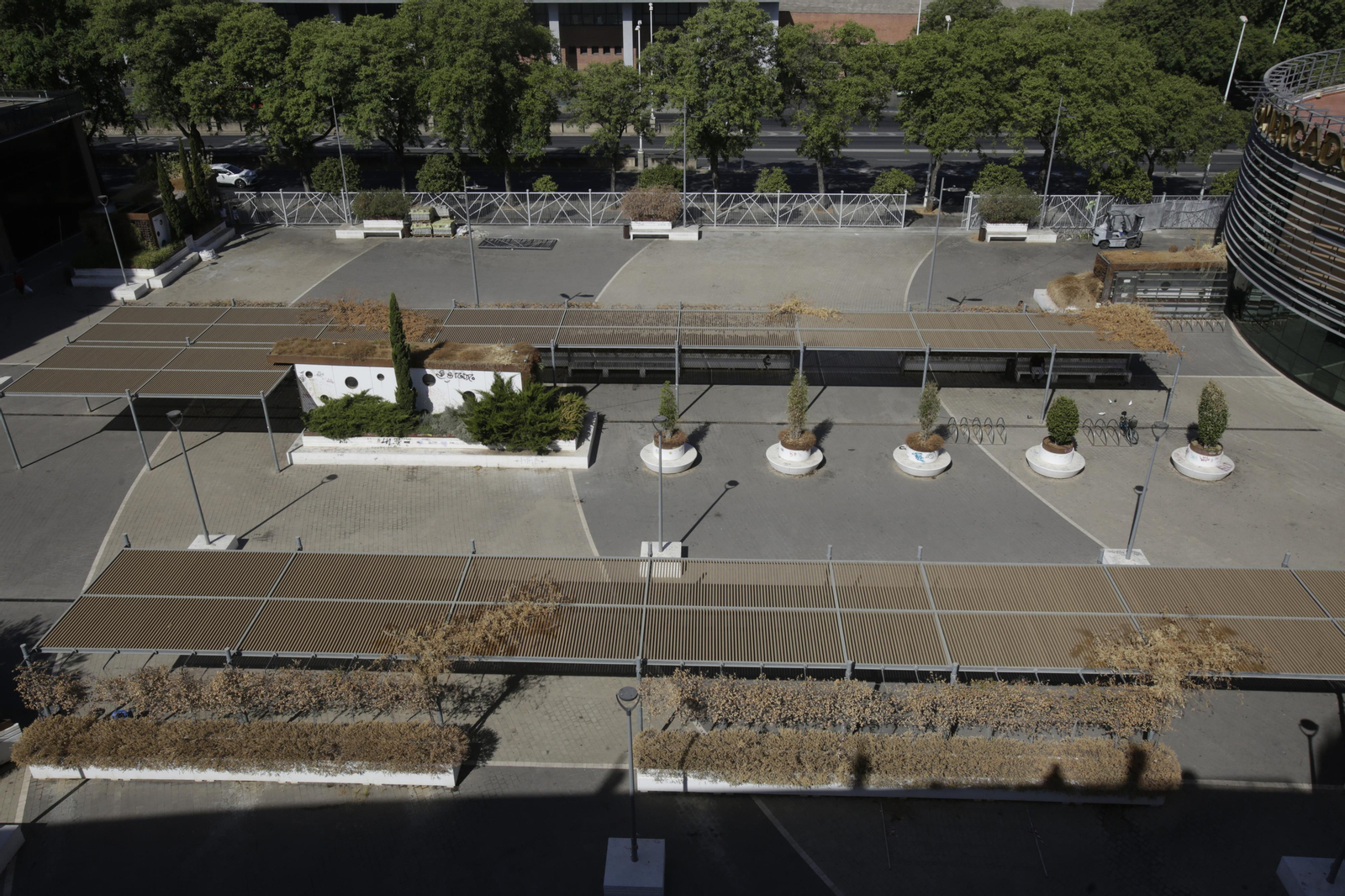 Abandono y mal estado de la plaza entre Mercadona y Plaza de Armas