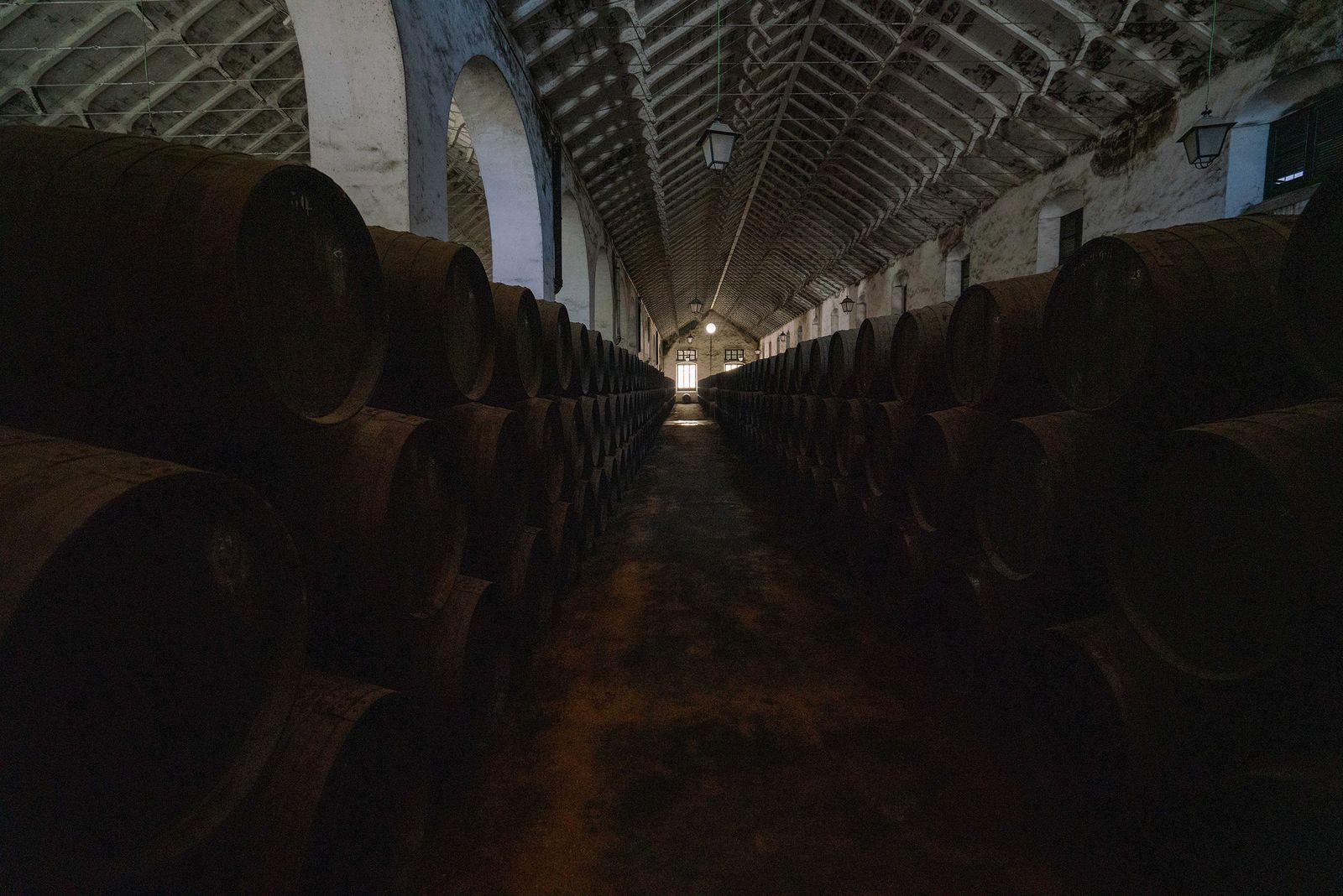 Instalaciones de la bodega Pérez Barquero.