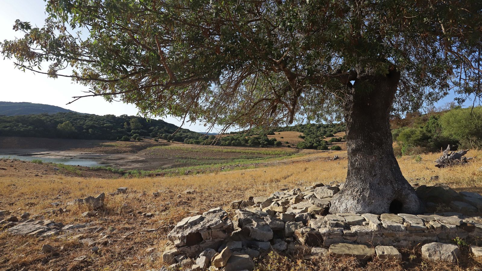 Embalse de Guadarranque en Castellar
