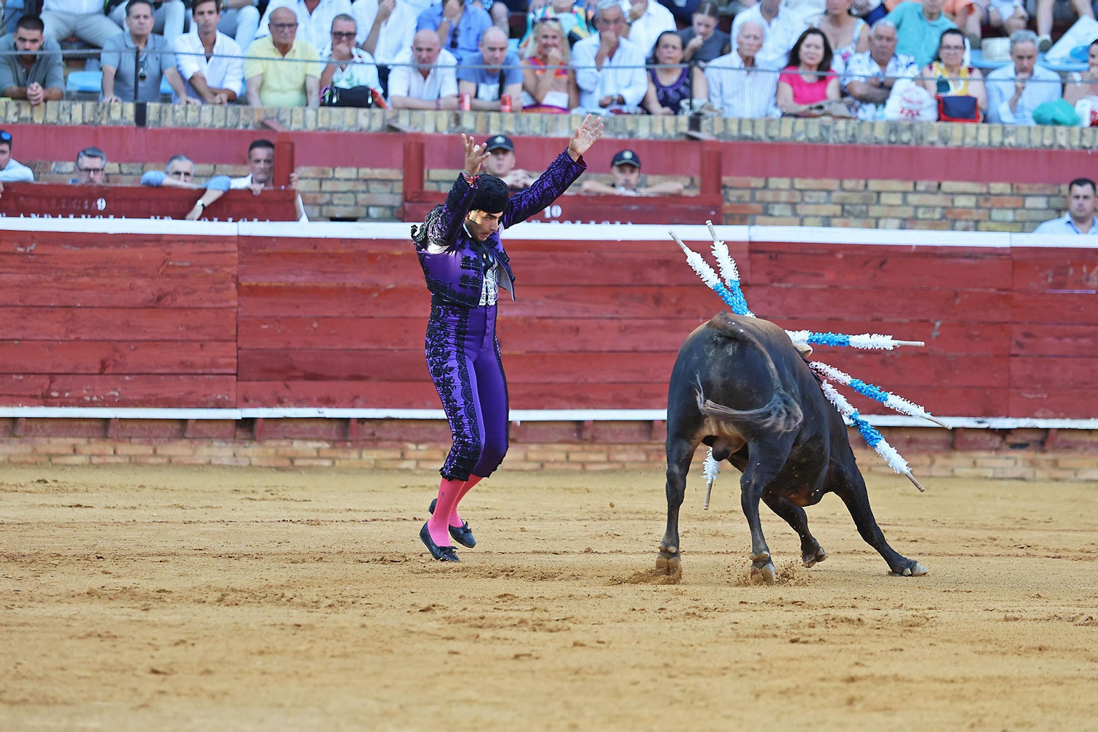Toros La Merced 2024 Novillada con picadores(