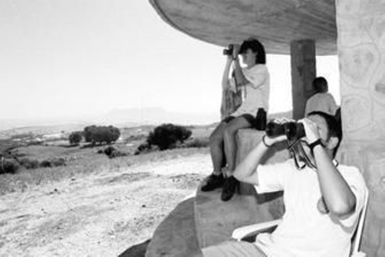 Varios observadores avistan aves desde uno de los miradores ubicados en Algeciras.