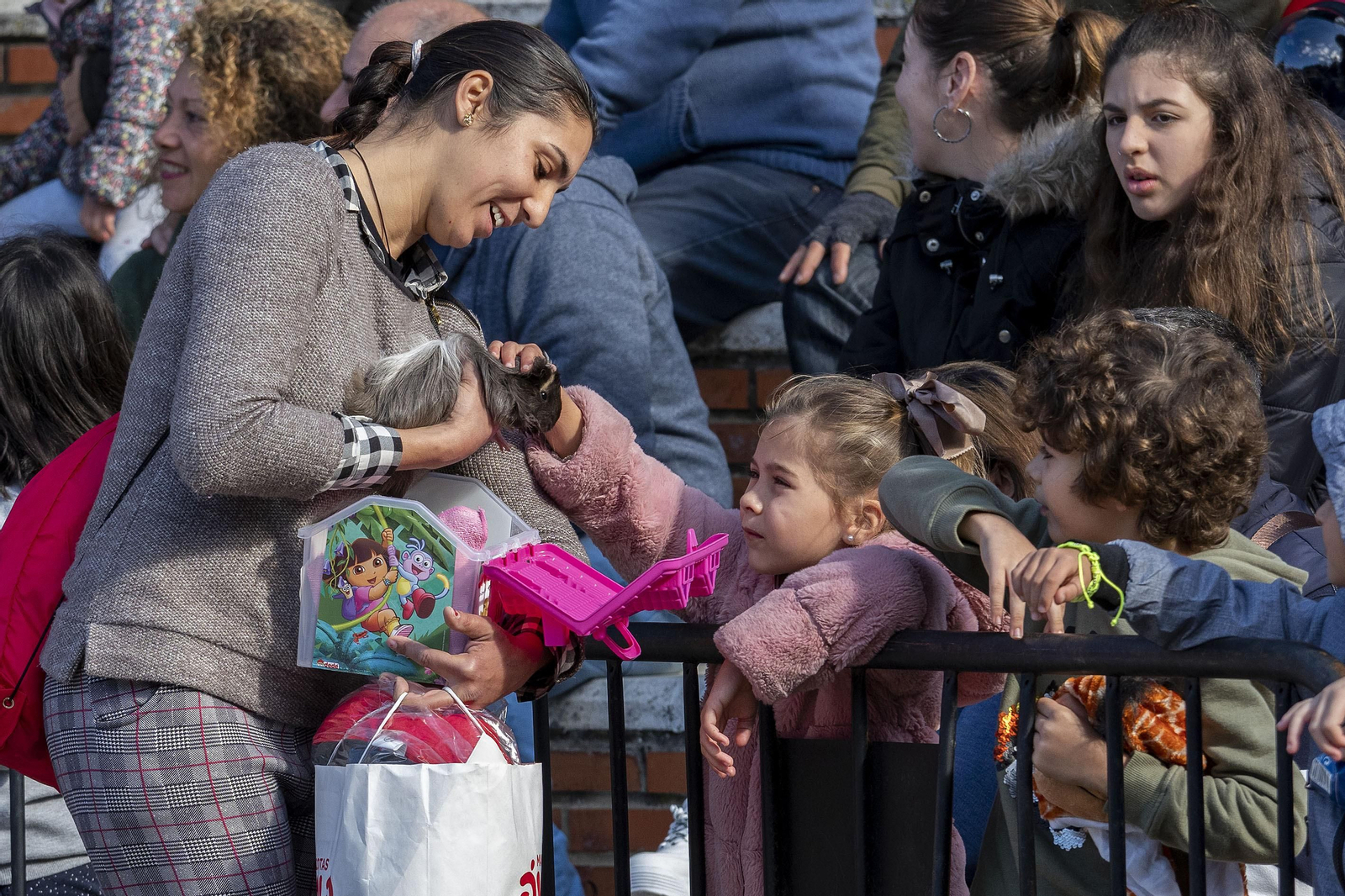 Las imágenes de la fiesta de San Antón en San Fernando