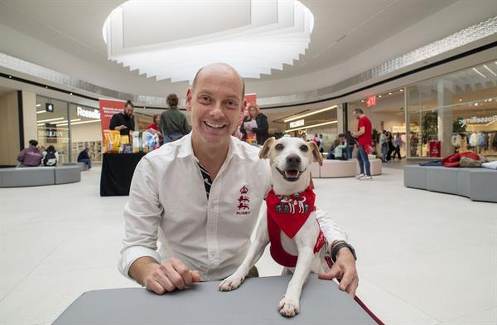 El perro viajero Pipper, embajador de actos solidarios, ayuda a sus colegas de Jaén
