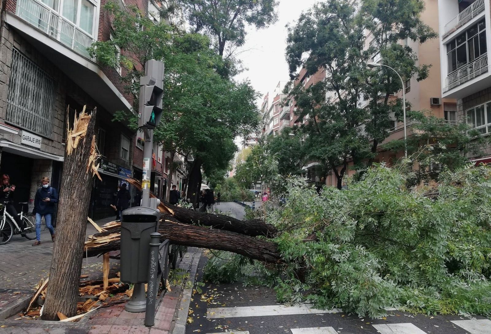 Efectos de la borrasca 'Bárbara' a su paso por Madrid