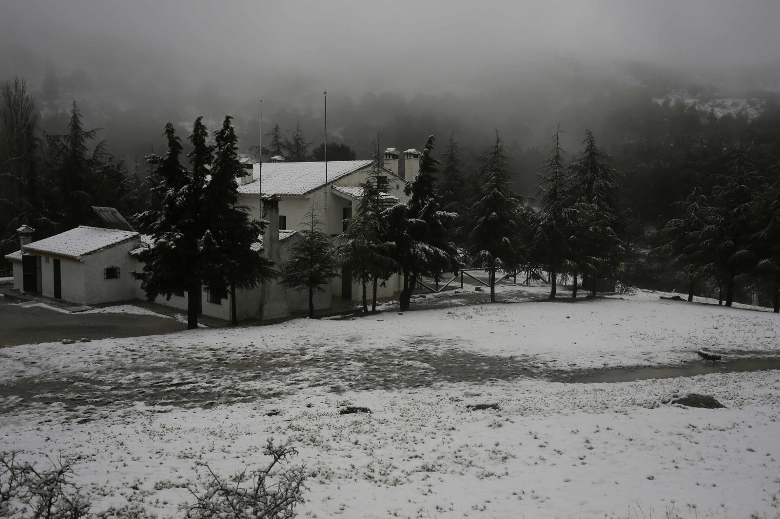 Manto blanco sobre la Sierra de las Nieves
