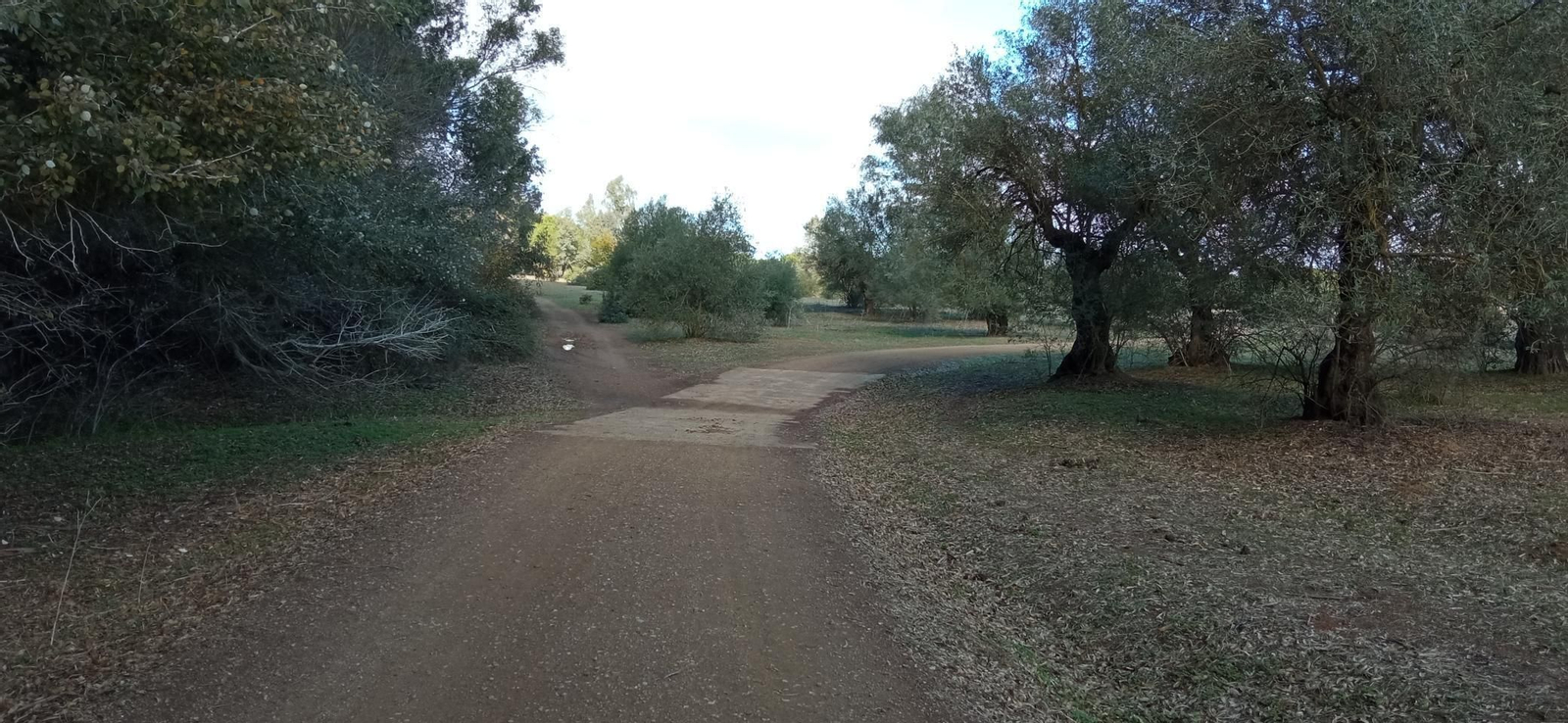 Las imágenes de la ruta ornitológica del corredor verde