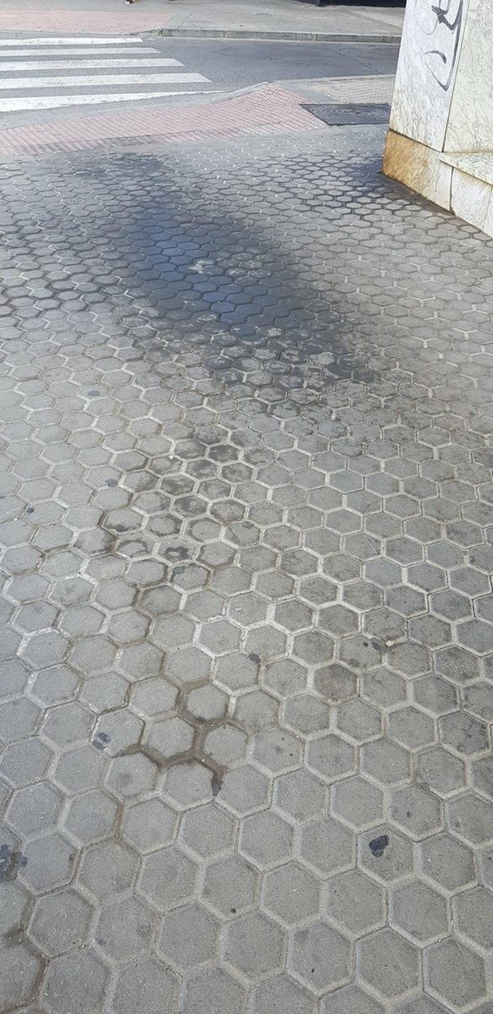 Galería de imágenes de la suciedad en distintos puntos de la ciudad.