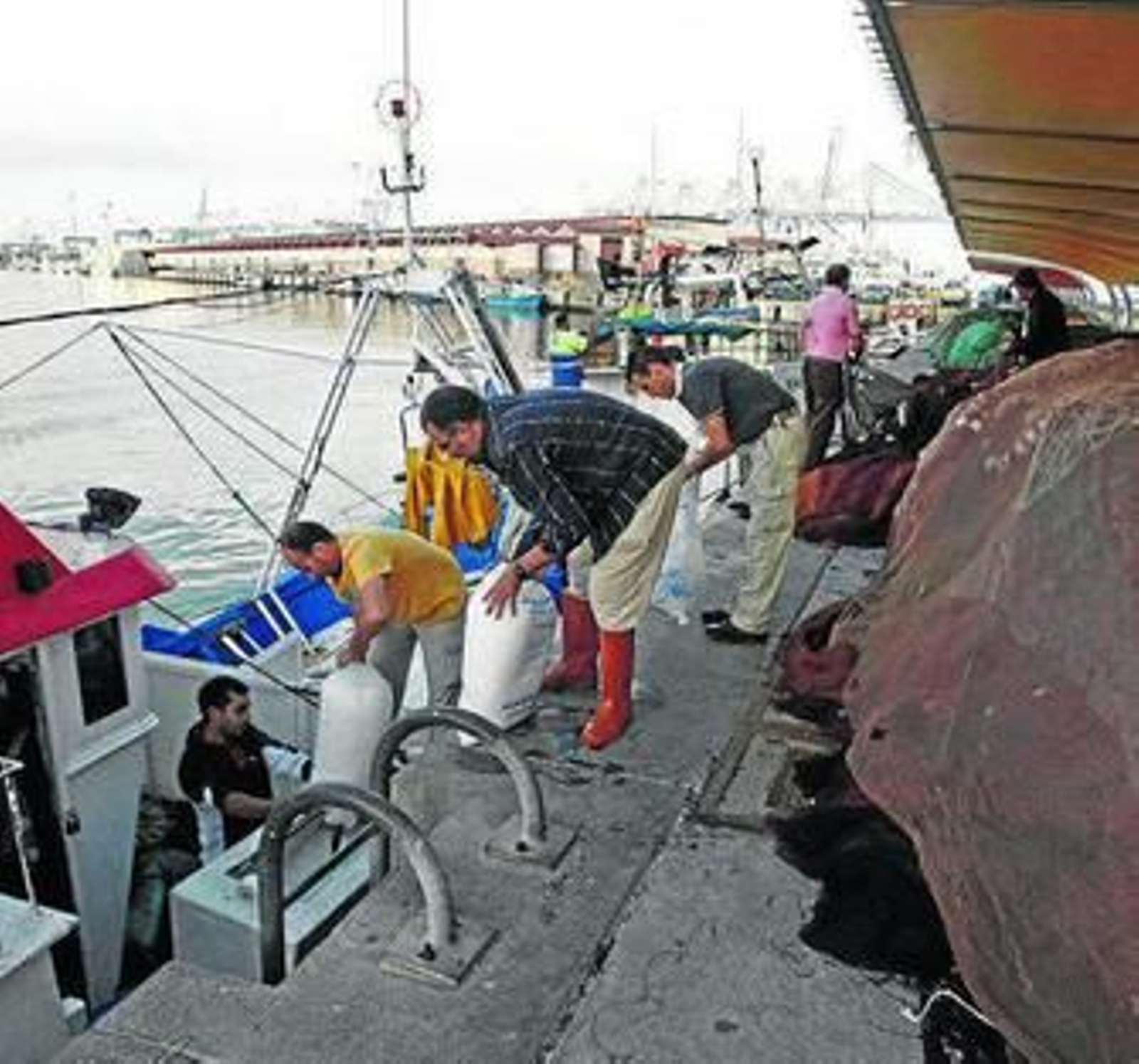 Pescadores se preparan para salir a faenar en el puerto de Algeciras.