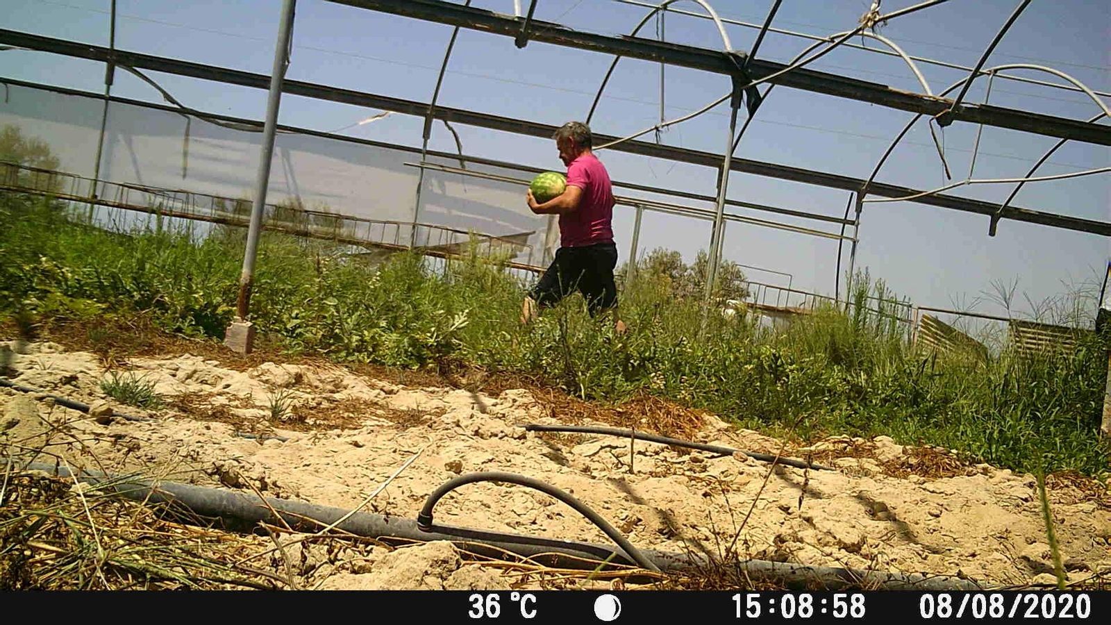 Otro ladrón sorprendido robando.