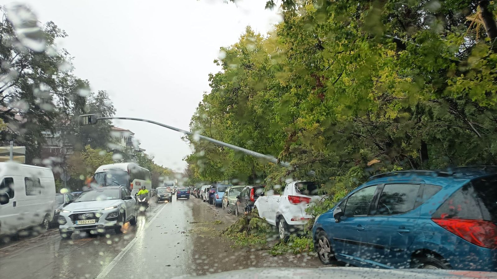 Caída de una farola y un árbol en la calle Senda de los Huertos.