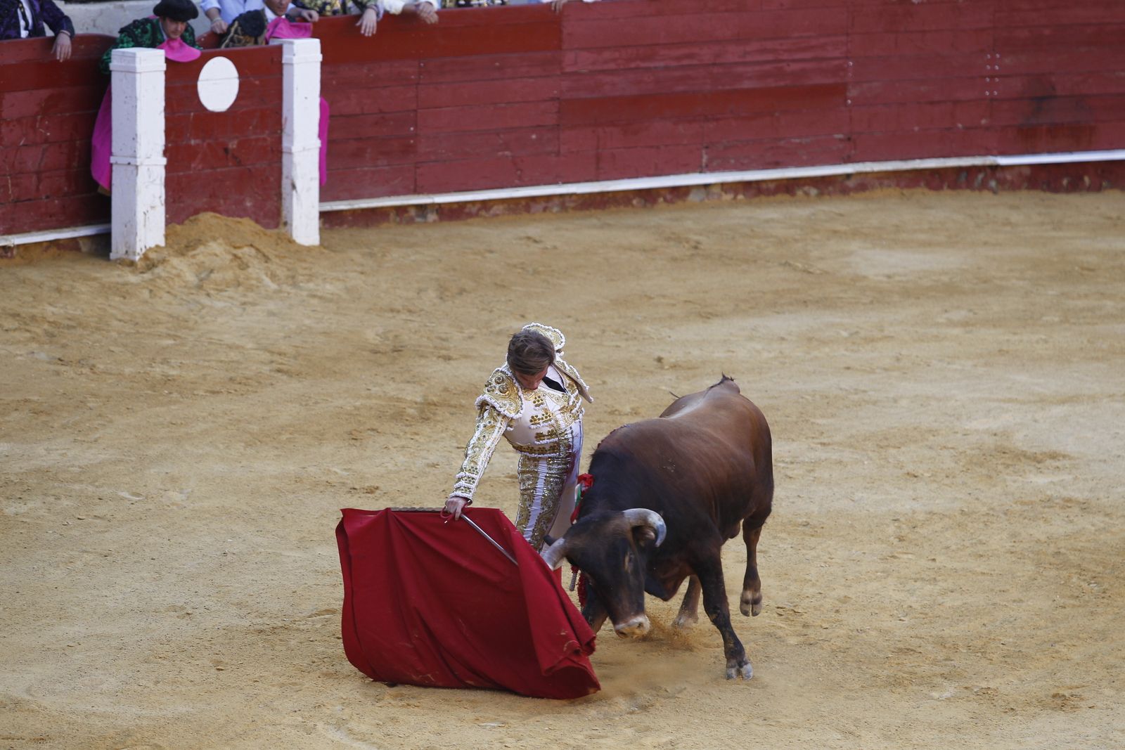 Fotogalería novillada Escuela Taurina de Almería. Feria de Almería 2019