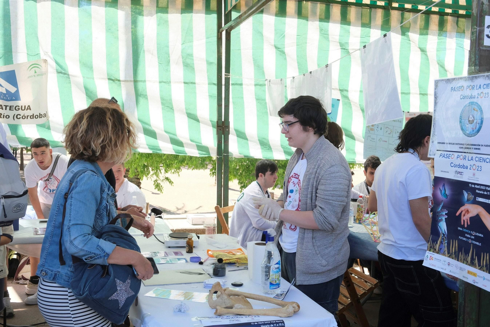 El Paseo por la Ciencia de Córdoba, en imágenes