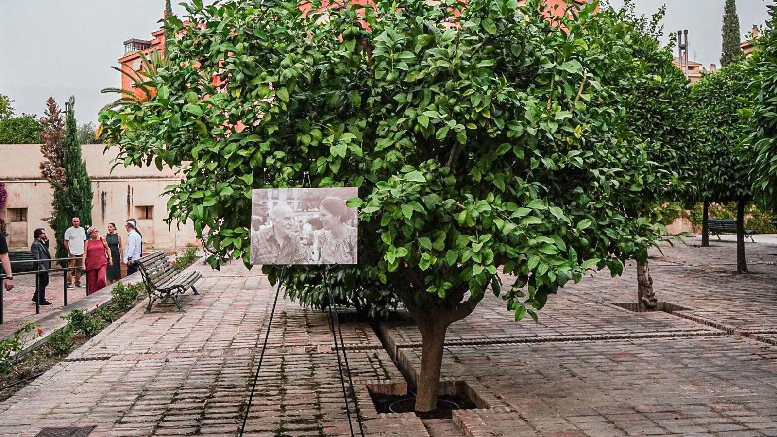 Limonero donde yacen los restos de Carolyn Richmond y Francisco Ayala