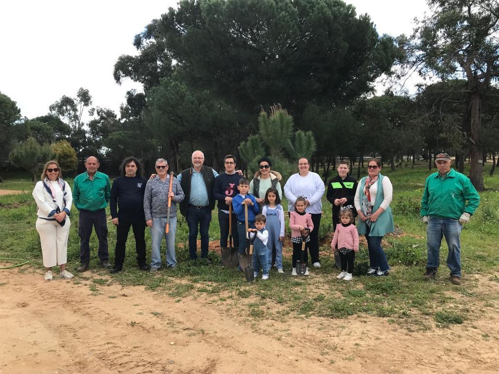 Plantación de pinos en Palos de la Frontera.