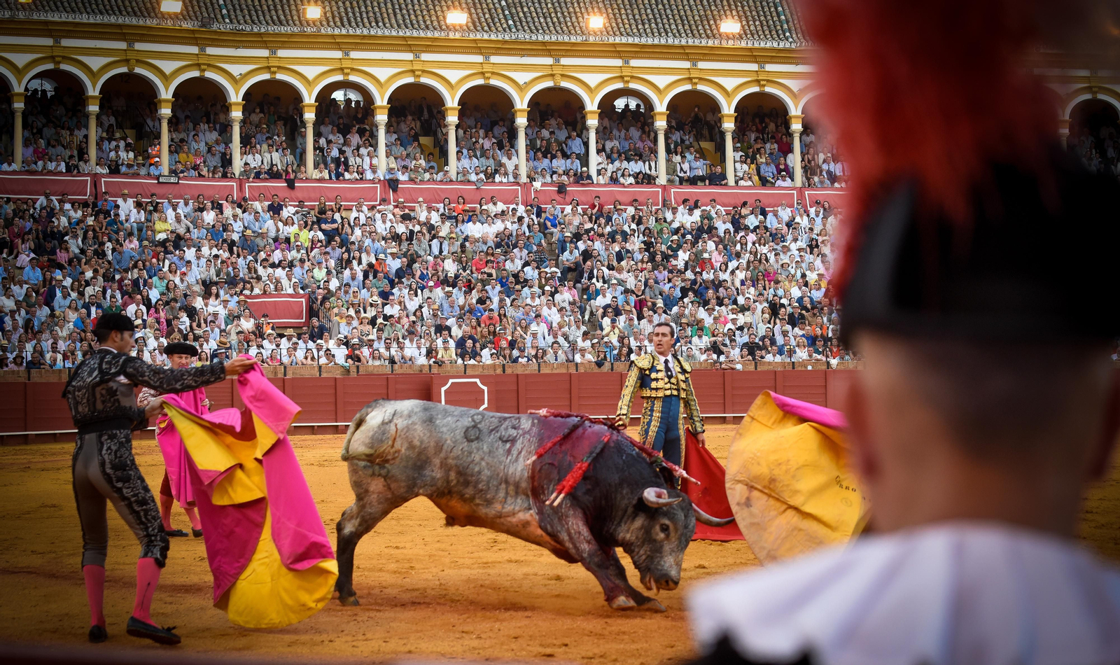 Las imágenes de la corrida de toros de El Fandi, Manuel Escribano y Esaú Fernández