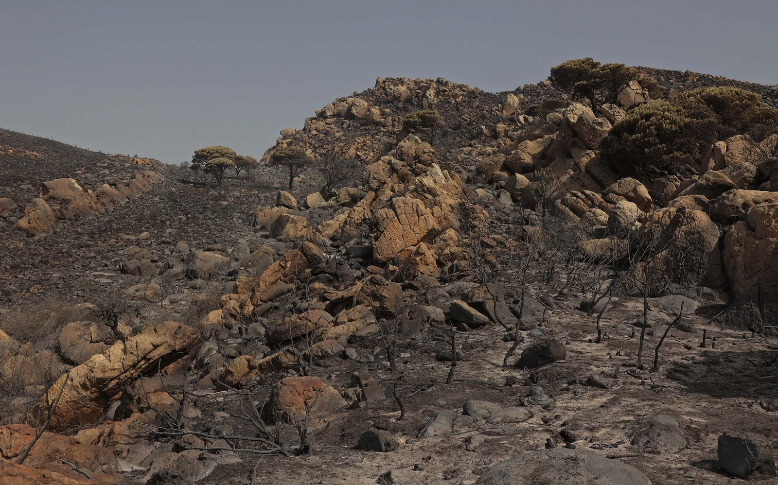 Fotos de los efectos del incendio en el monte de La Peña en Tarifa
