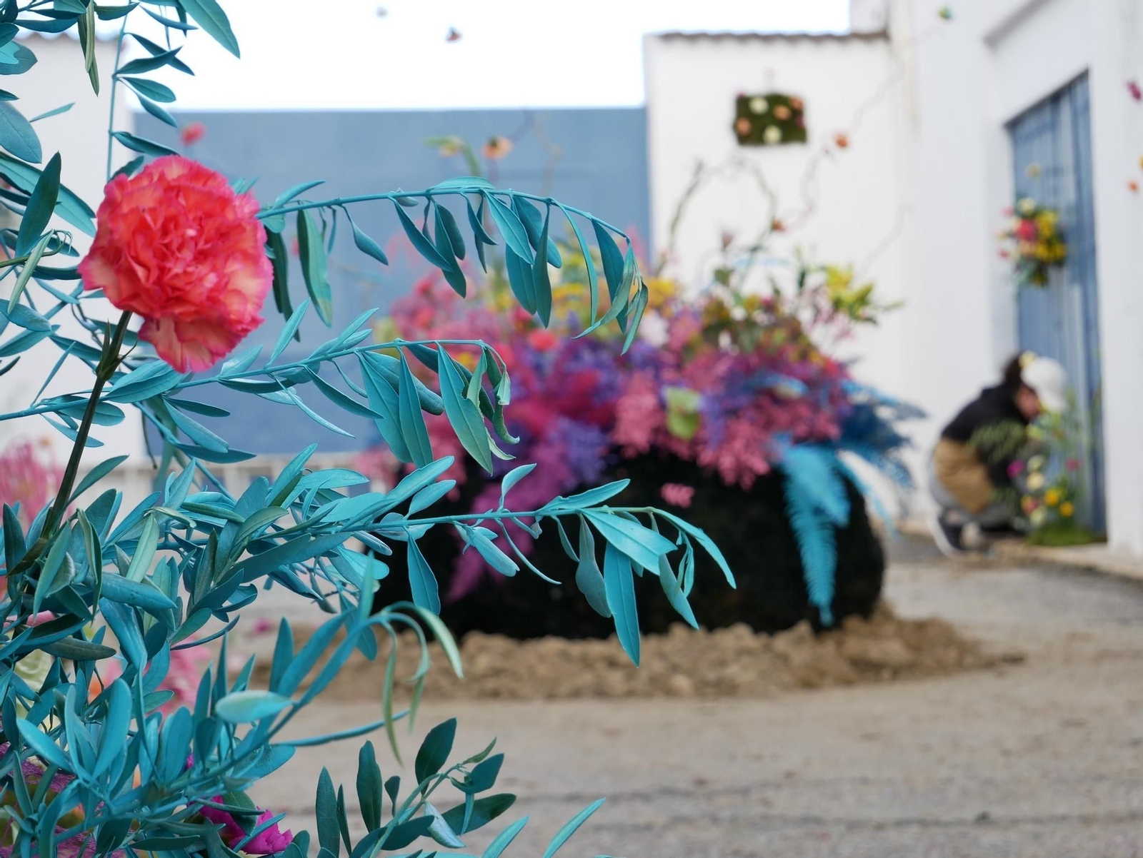 Un paseo en imágenes por las Calles en Flor de Cañete de las Torres