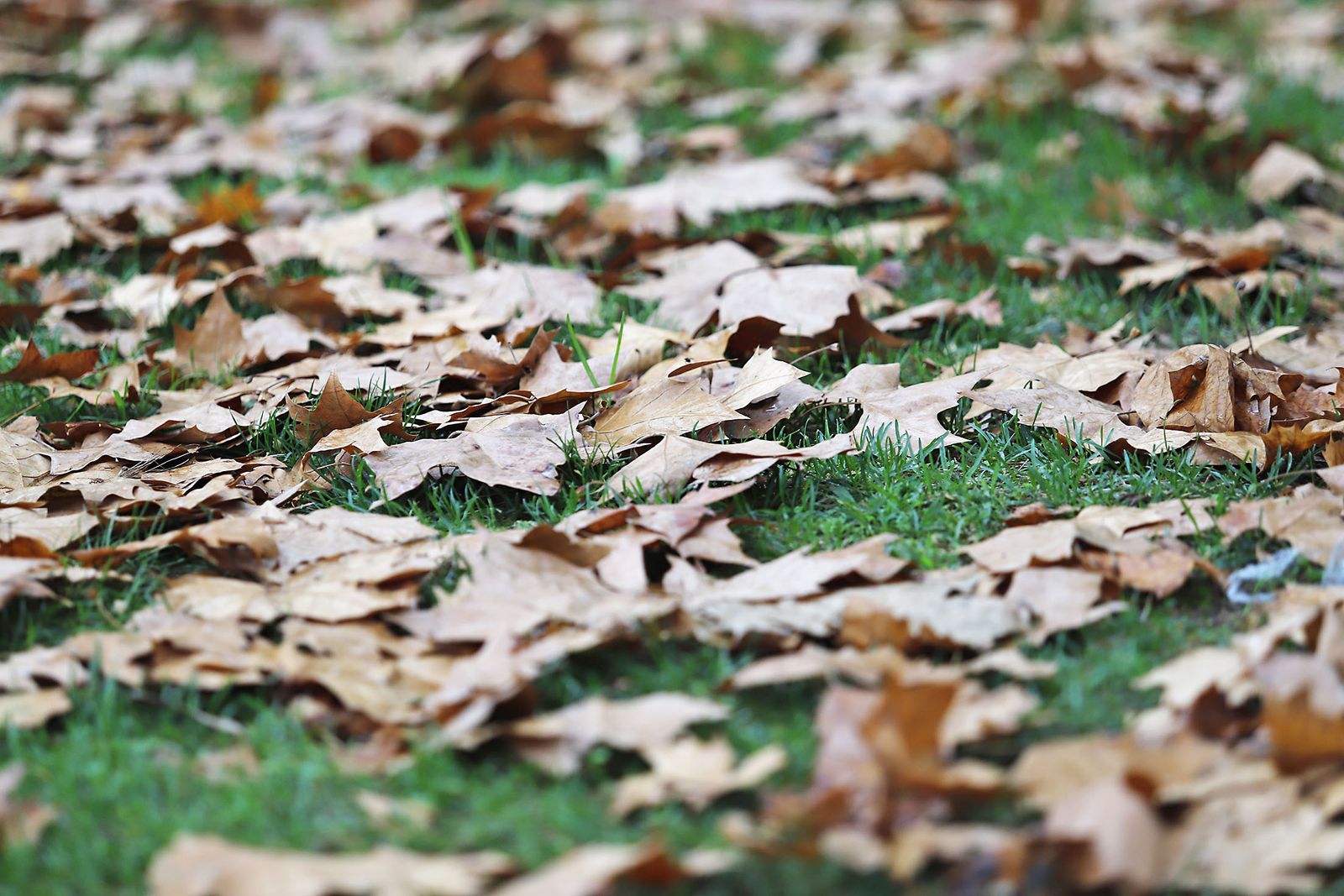 Las imágenes más destacadas del martes 17 de octubre en Huelva